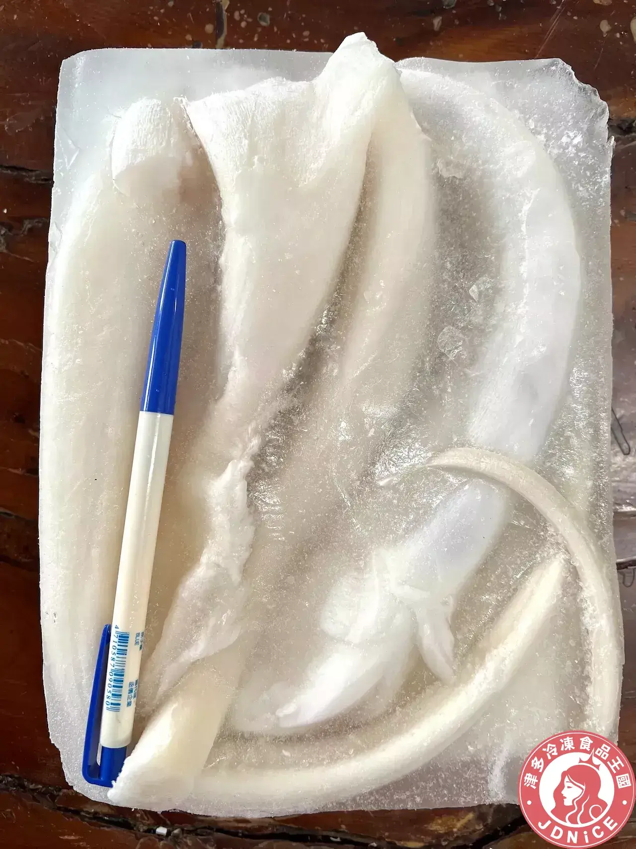 魷魚頭6L