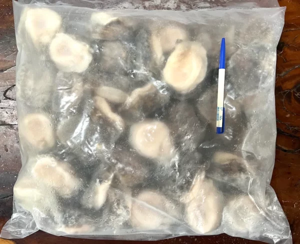 智利鮑魚：圖片 3