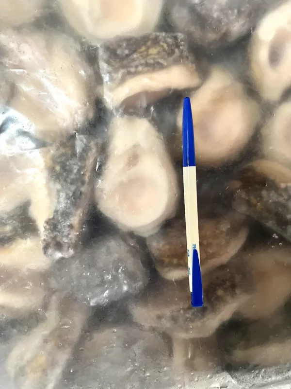 智利鮑魚
