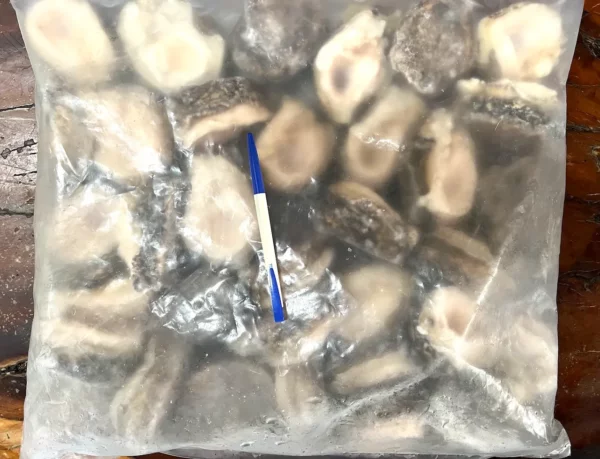智利鮑魚：圖片 2