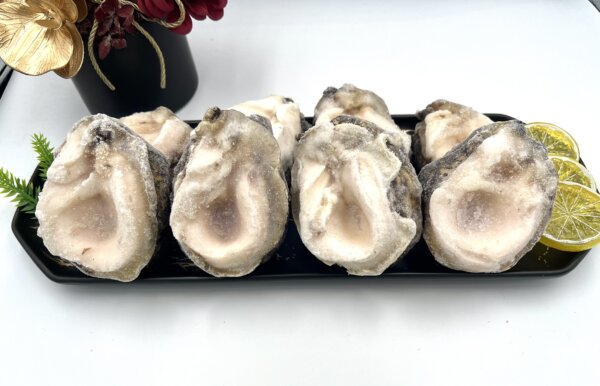 智利鮑魚1公斤：圖片 3