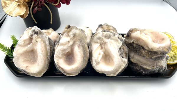 智利鮑魚1公斤